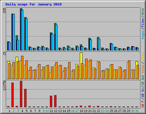 Daily usage for January 2010