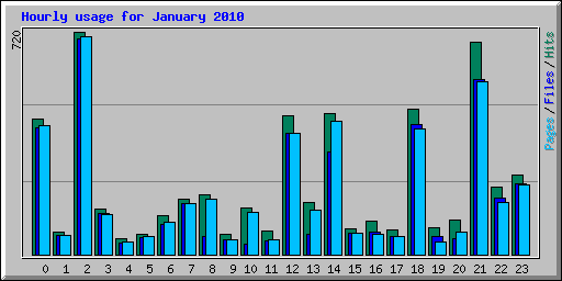 Hourly usage for January 2010