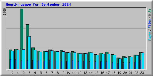 Hourly usage for September 2024