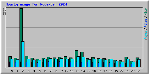 Hourly usage for November 2024