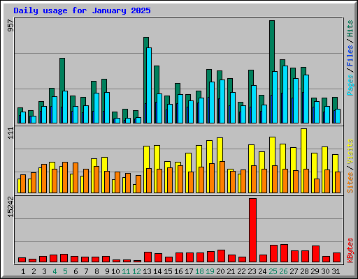 Daily usage for January 2025