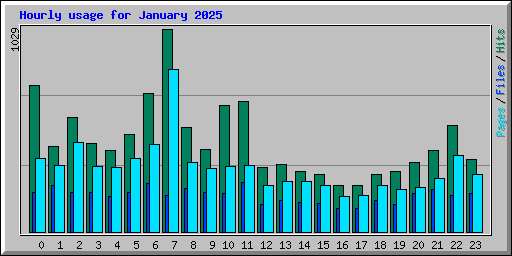 Hourly usage for January 2025