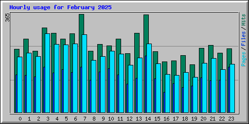 Hourly usage for February 2025